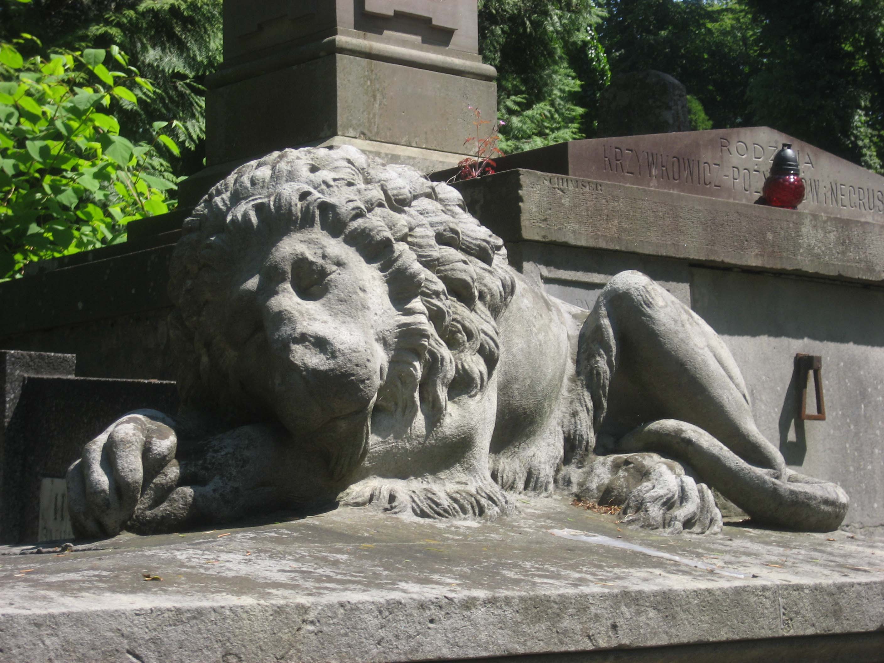 Friedhof in Lviv